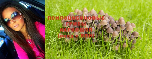 гашиш Богородицк