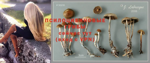 МДМА Богородск