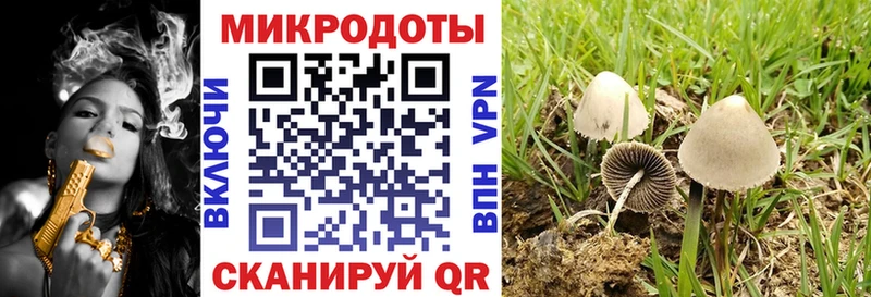 Галлюциногенные грибы Cubensis  Палласовка 